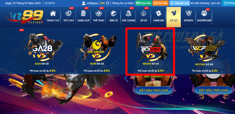 Đá gà WS168 - Sảnh game cá cược đá gà siêu HOT 2025 4 Đá gà WS168 tại VZ99