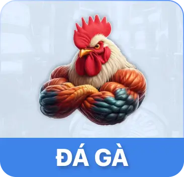 VZ99 20 đấu trường đá gà